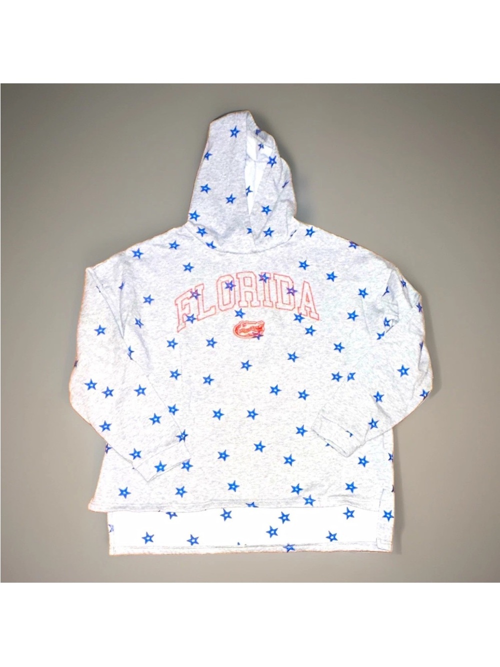 Florida Gators Liv Casual Women's Pullover Hoodie Sweatshirt M Gray Blue Star